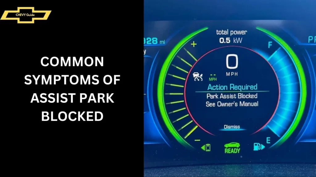 Common Symptoms of Assist Park Blocked