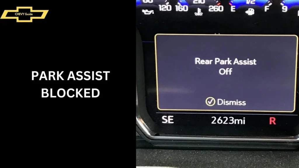 Park Assist Blocked