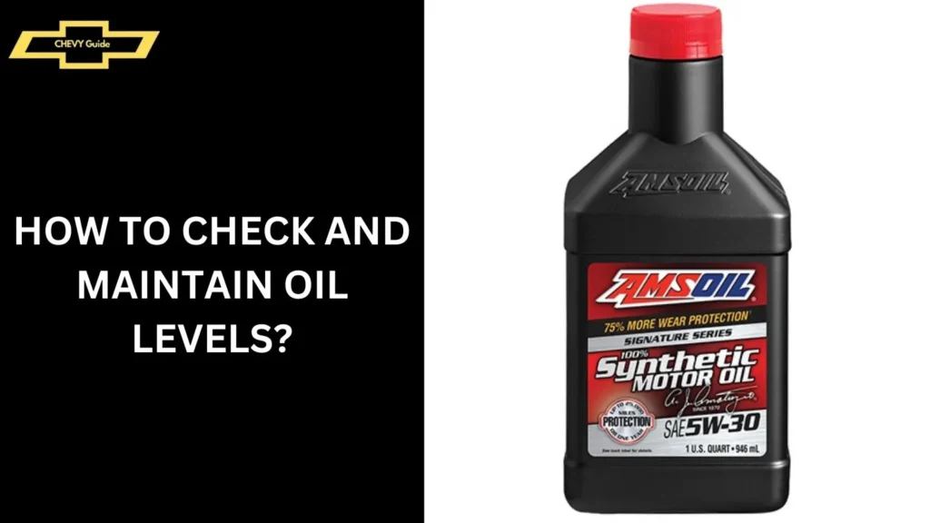 How to Check and Maintain Oil Levels?